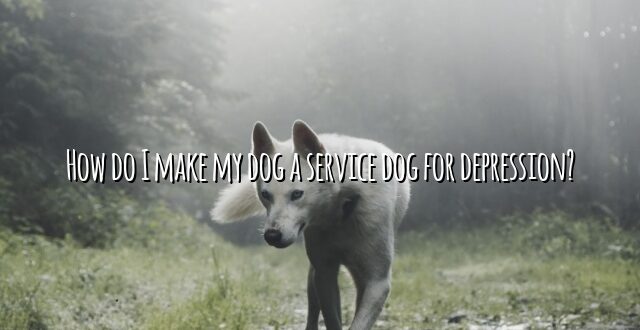 How do I make my dog a service dog for depression?