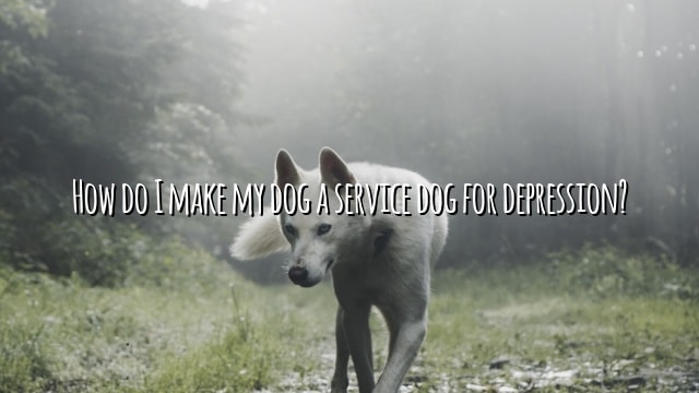 How do I make my dog a service dog for depression?