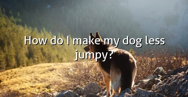 How do I make my dog less jumpy?