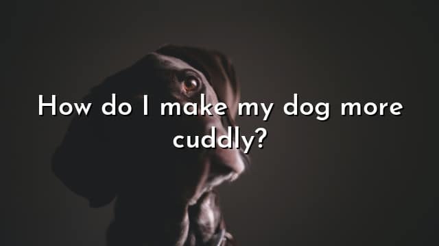 How do I make my dog more cuddly?