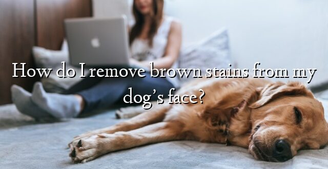 How do I remove brown stains from my dog’s face?