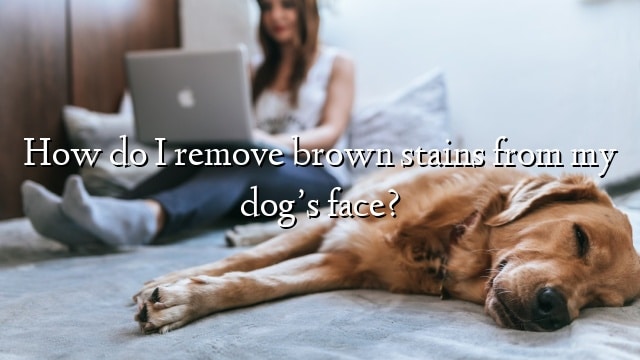 How do I remove brown stains from my dog’s face?