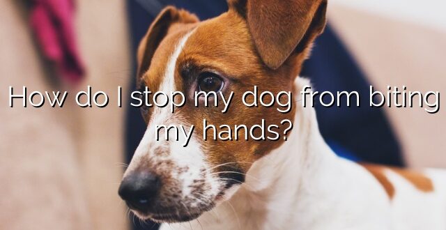 How do I stop my dog from biting my hands?
