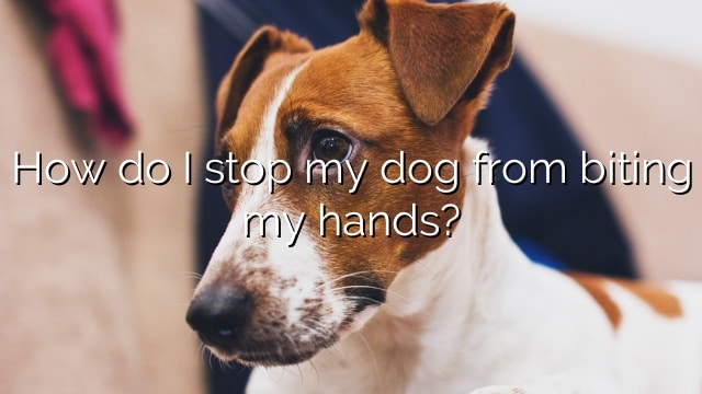 How do I stop my dog from biting my hands?