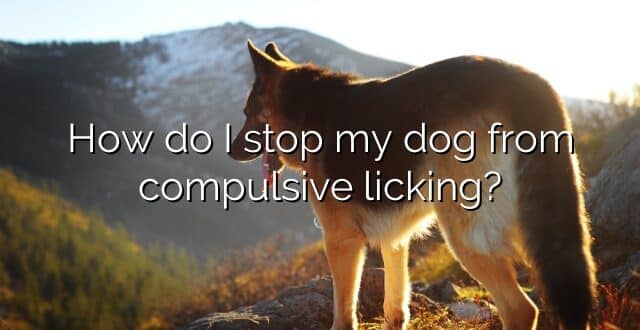 How do I stop my dog from compulsive licking?