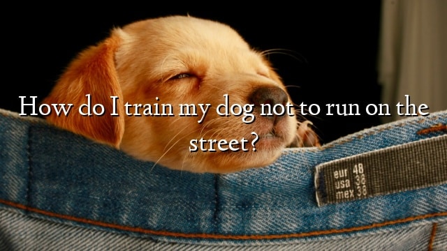 How do I train my dog not to run on the street?