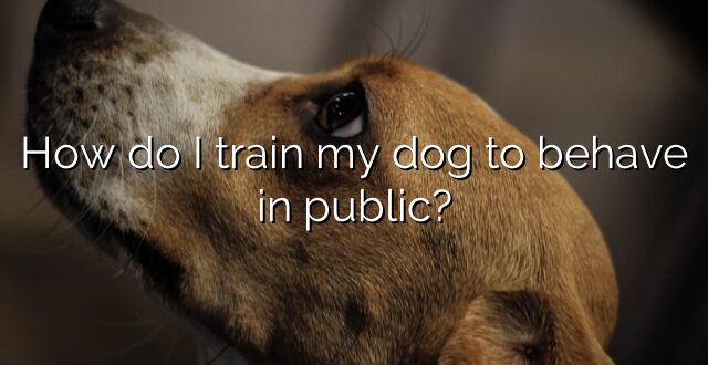 How do I train my dog to behave in public?