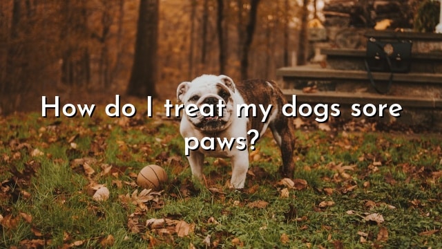 How do I treat my dogs sore paws?