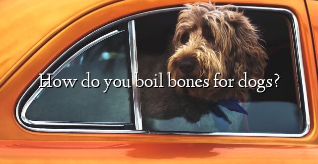 How do you boil bones for dogs?