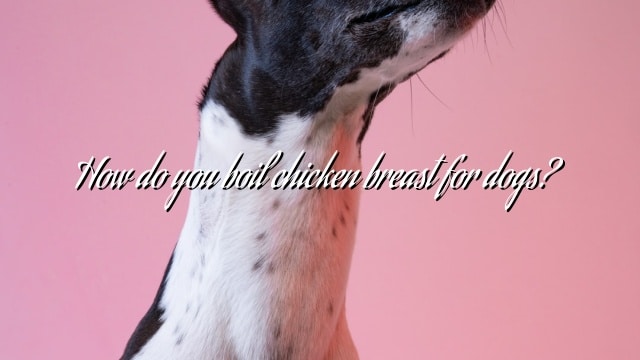 How do you boil chicken breast for dogs?