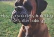 How do you dehydrate dog treats after baking?