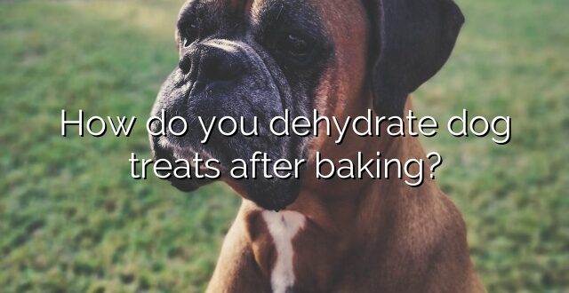 How do you dehydrate dog treats after baking?