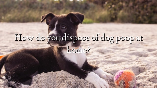How do you dispose of dog poop at home?
