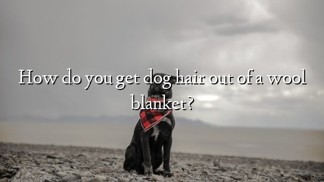 How do you get dog hair out of a wool blanket?