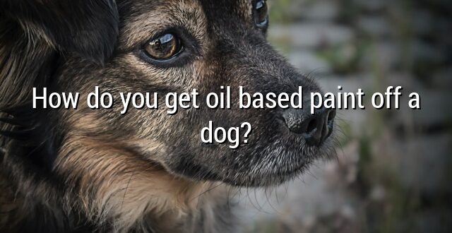 How do you get oil based paint off a dog?