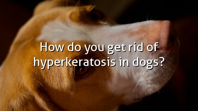 How do you get rid of hyperkeratosis in dogs?