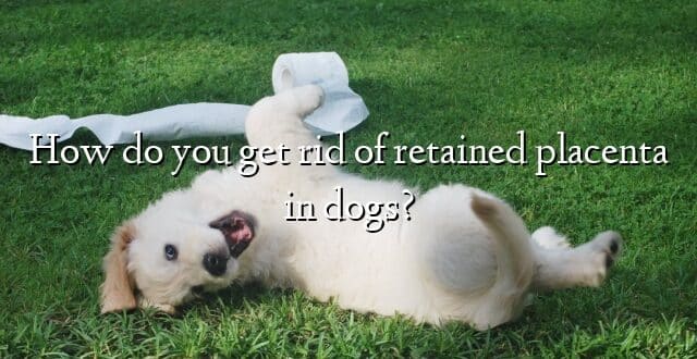 How do you get rid of retained placenta in dogs?