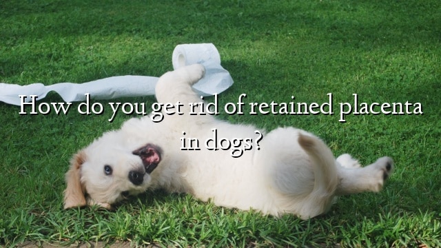 How do you get rid of retained placenta in dogs?