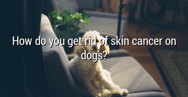 How do you get rid of skin cancer on dogs?