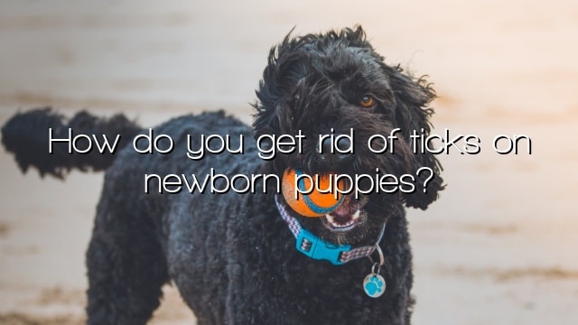 How do you get rid of ticks on newborn puppies?
