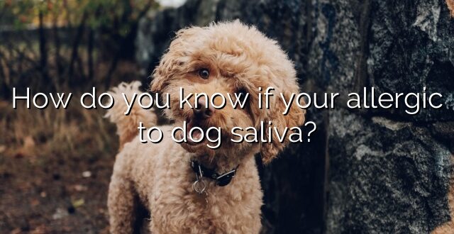 How do you know if your allergic to dog saliva?