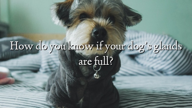 How do you know if your dog’s glands are full?