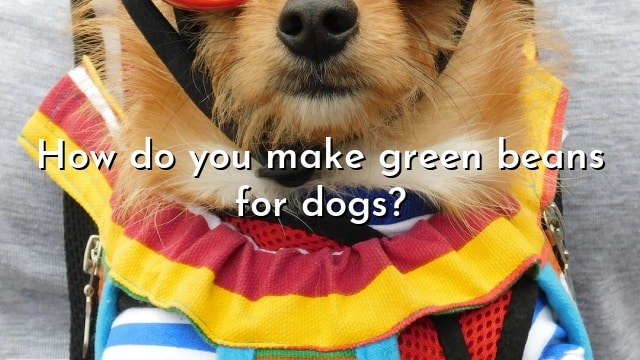 How do you make green beans for dogs?
