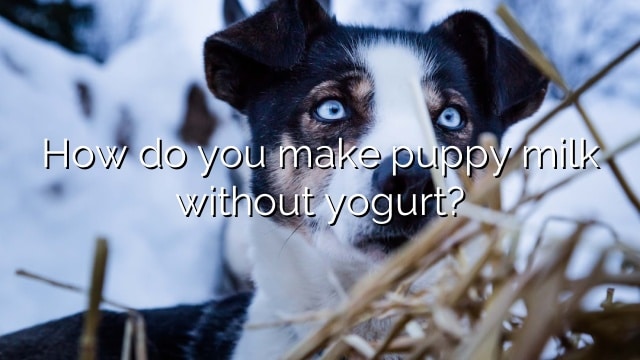 How do you make puppy milk without yogurt?