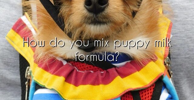 How do you mix puppy milk formula?