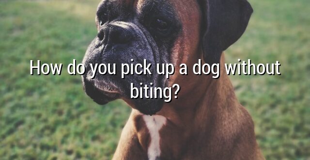 How do you pick up a dog without biting?