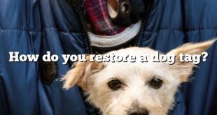 How do you restore a dog tag?