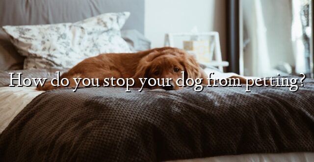 How do you stop your dog from petting?