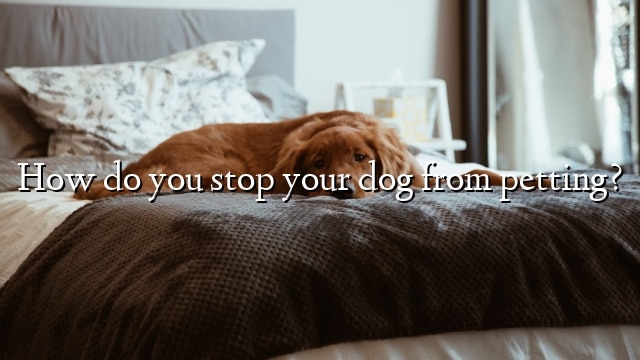 How do you stop your dog from petting?