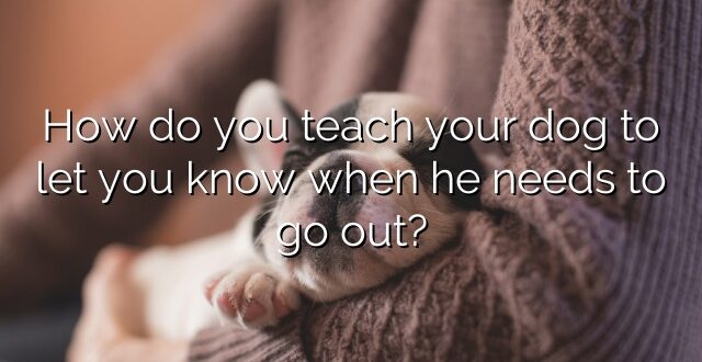 How do you teach your dog to let you know when he needs to go out?