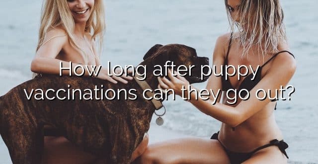 How long after puppy vaccinations can they go out?