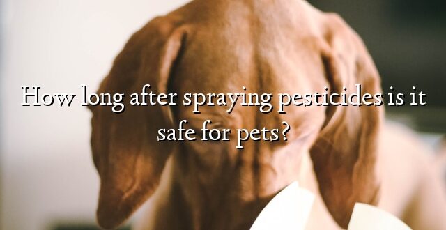 How long after spraying pesticides is it safe for pets?