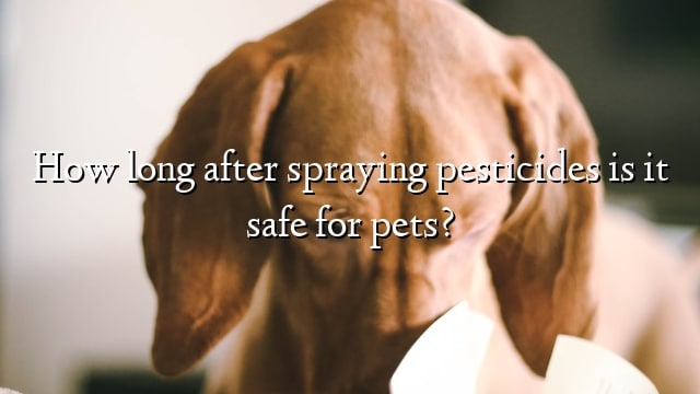 How long after spraying pesticides is it safe for pets?