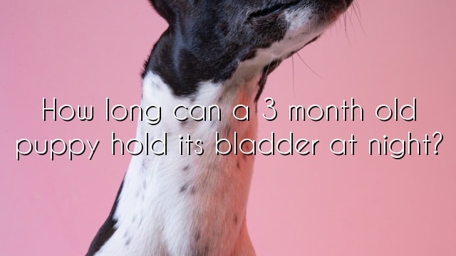 How long can a 3 month old puppy hold its bladder at night?