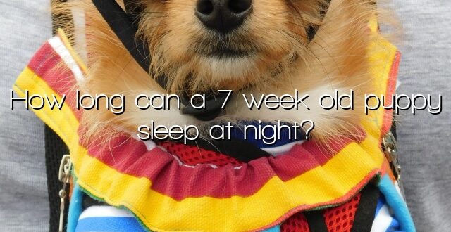 How long can a 7 week old puppy sleep at night?