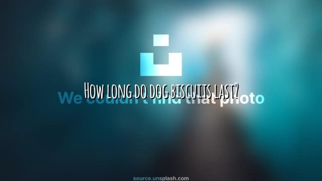 How long do dog biscuits last?