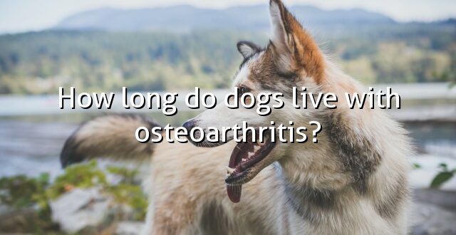 How long do dogs live with osteoarthritis?