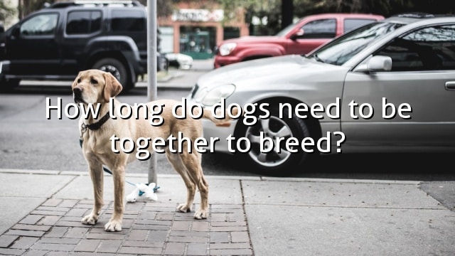 How long do dogs need to be together to breed?