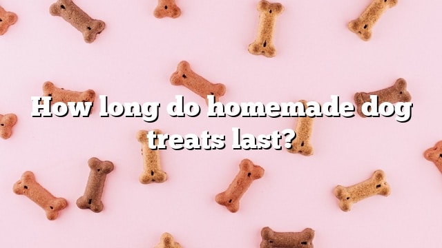 How long do homemade dog treats last?