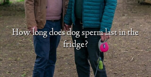 How long does dog sperm last in the fridge?