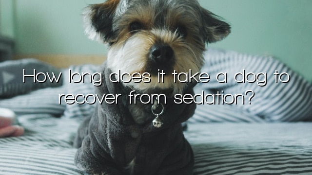 How long does it take a dog to recover from sedation?