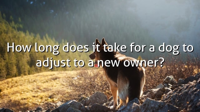 How long does it take for a dog to adjust to a new owner?