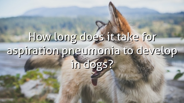 How long does it take for aspiration pneumonia to develop in dogs?