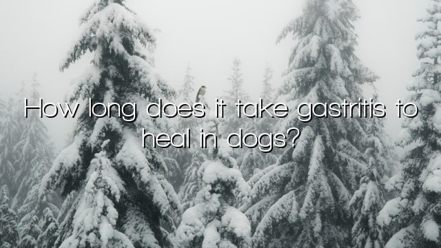 How long does it take gastritis to heal in dogs?
