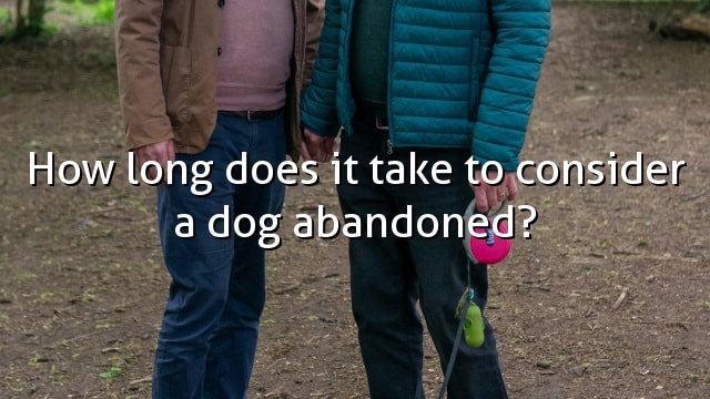 How long does it take to consider a dog abandoned?