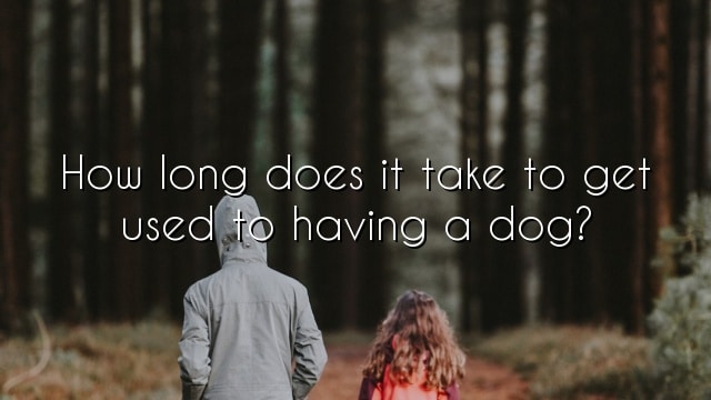 How long does it take to get used to having a dog?